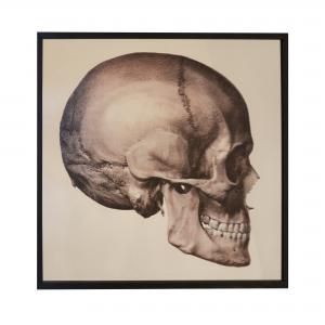 QUADRO SKULL SIDE MIRROR G