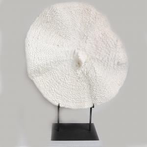 CORAL DISCO XL BASE FERRO